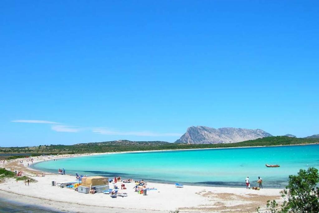 Villa Molly ซาน เตโอโดโร ภายนอก รูปภาพ